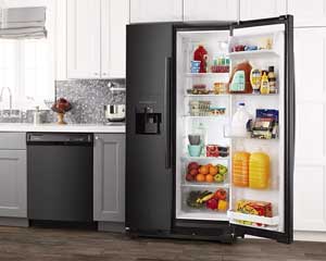 25' Black Side-By-Side Refrigerator