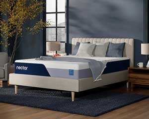 Twin Memory Foam Firm Mattress 12"