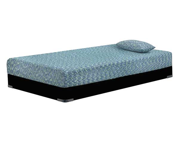 Blue Twin Mattress & Pillow