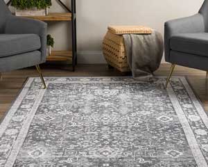 image of living room furniture with an area rug