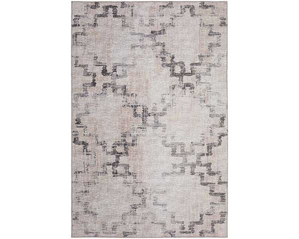 Interior Exterior Area Rug