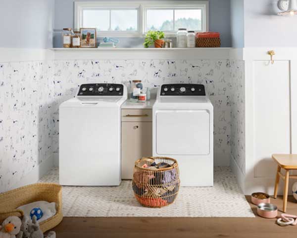 Washer Top Load HE 4.5' second view