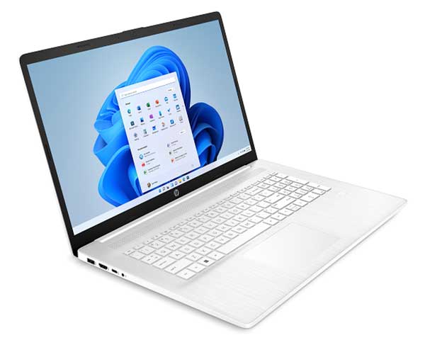 17.3" Laptop 8GB 256GB SSD