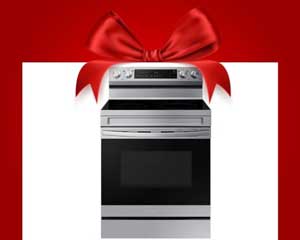 6.3' Smart Electric Stove Range
