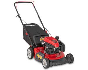 Self Propelled Push Mower 22"